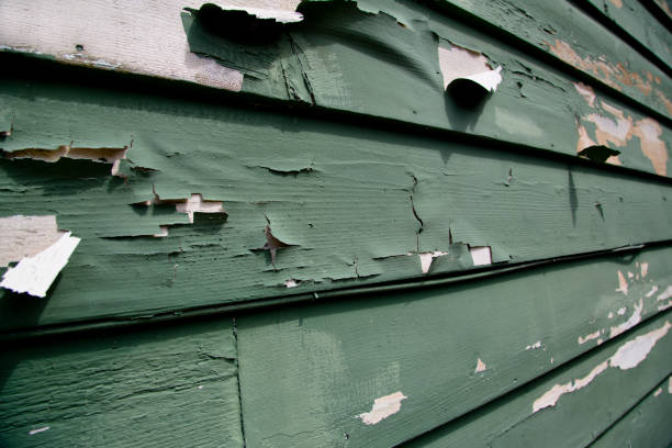 Best Demolition Debris Removal  in Denver, IA
