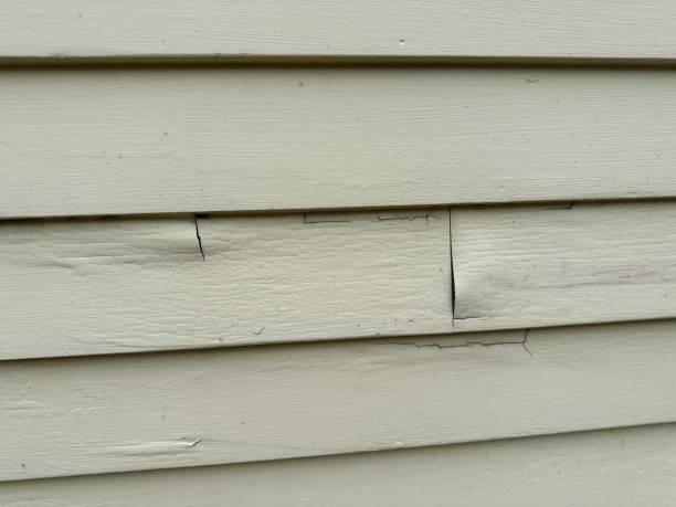 Best Construction Debris Removal  in Denver, IA